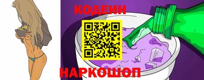 мдпв Кингисепп