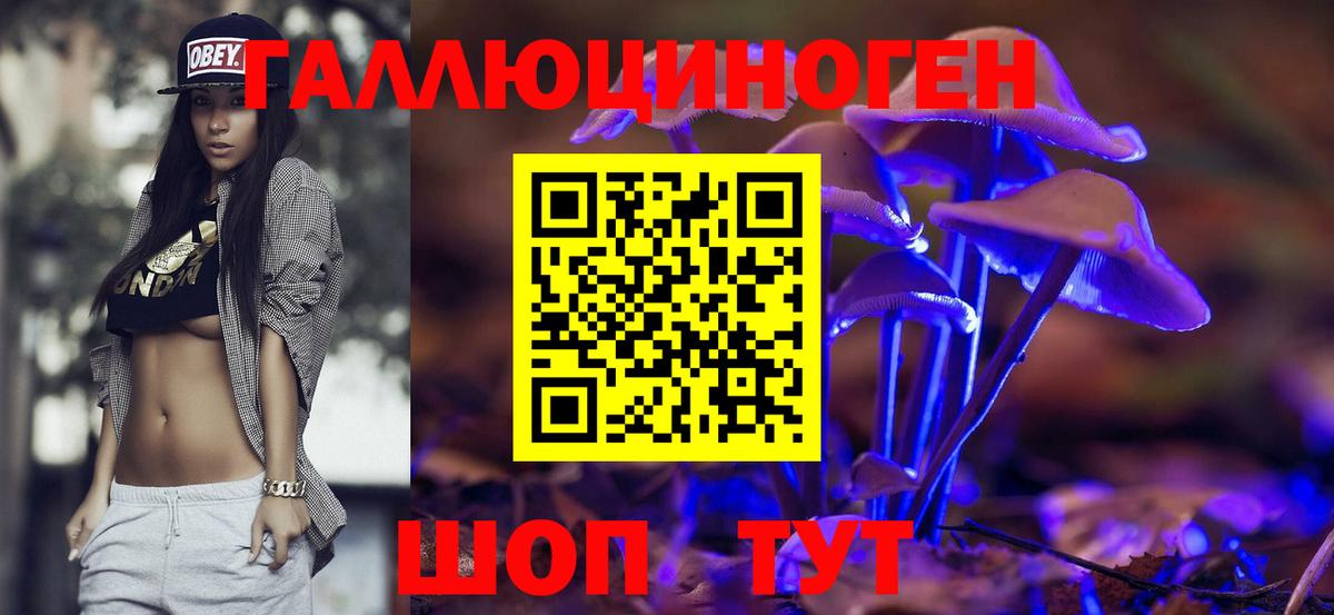 Псилоцибиновые грибы ЛСД  Вход с VPN  Ленинск-Кузнецкий  магазин продажи наркотиков  Псилоцибиновые грибы Magic Shrooms 